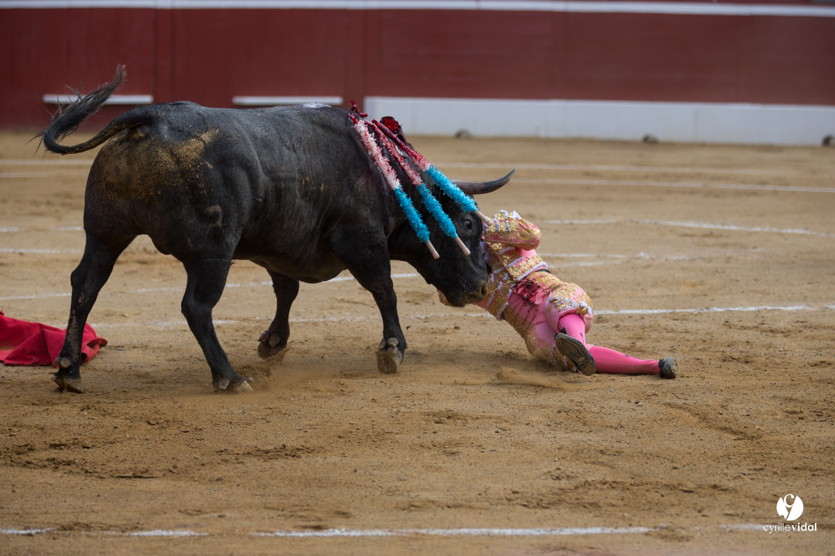 Mont-de-Marsan corrida d'Adolfo Martin