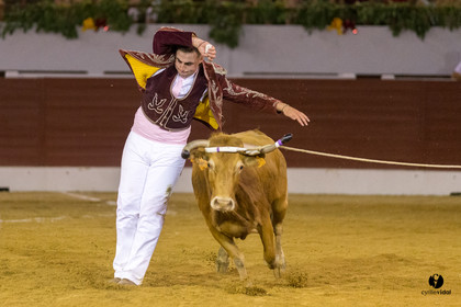 Aire sur l'Adour course landaise génération Aturine