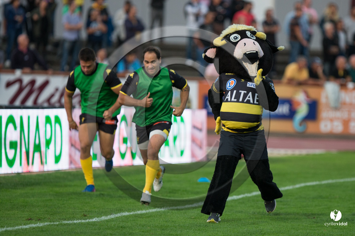 Rugby STADE MONTOIS - VANNES