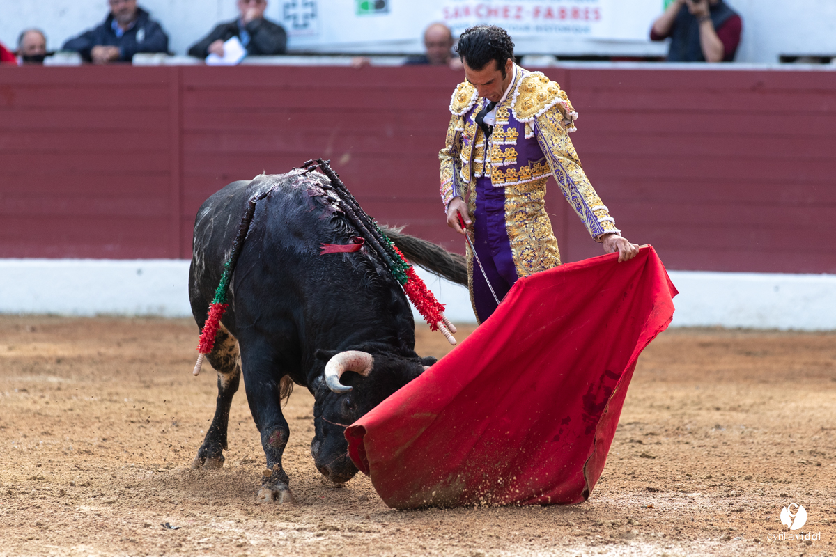 Corrida d'Aire sur l'Adour