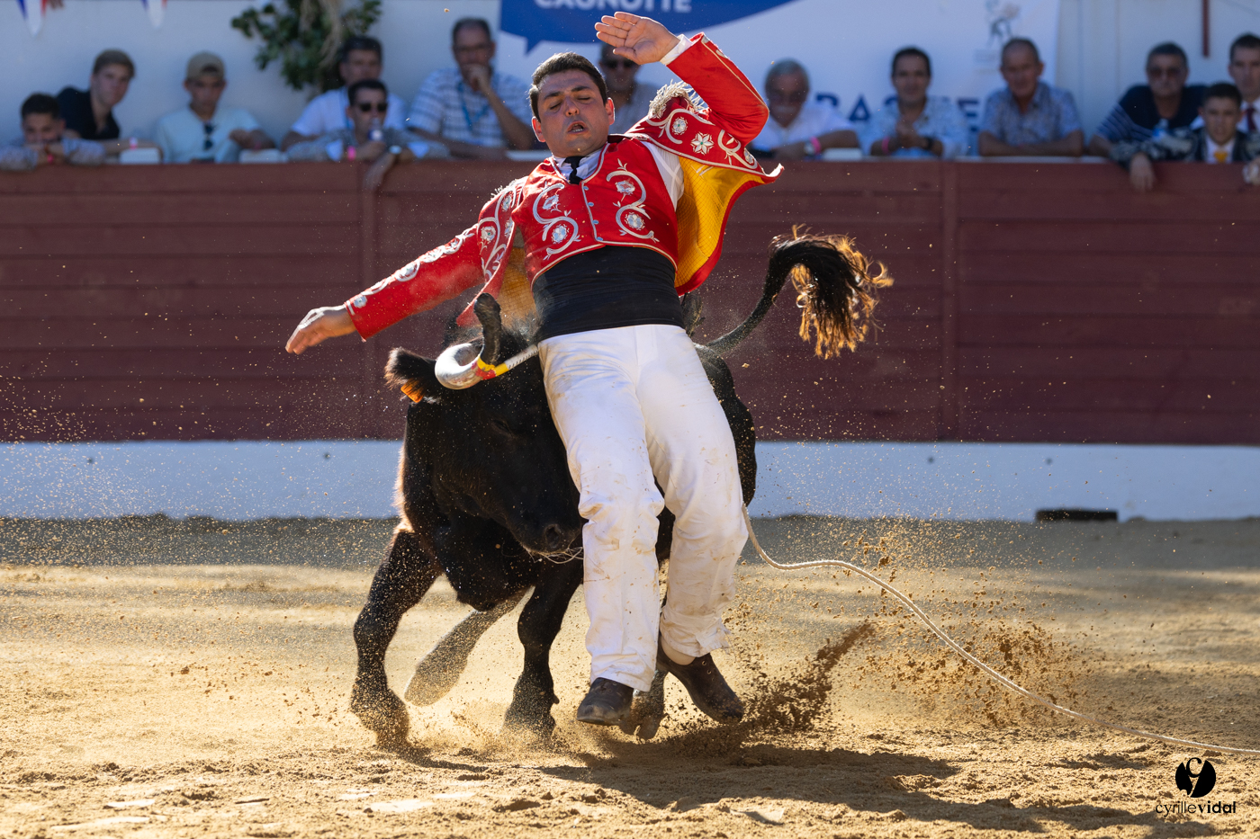 Aire-sur-l'Adour Championnat de France de course landaise 2023