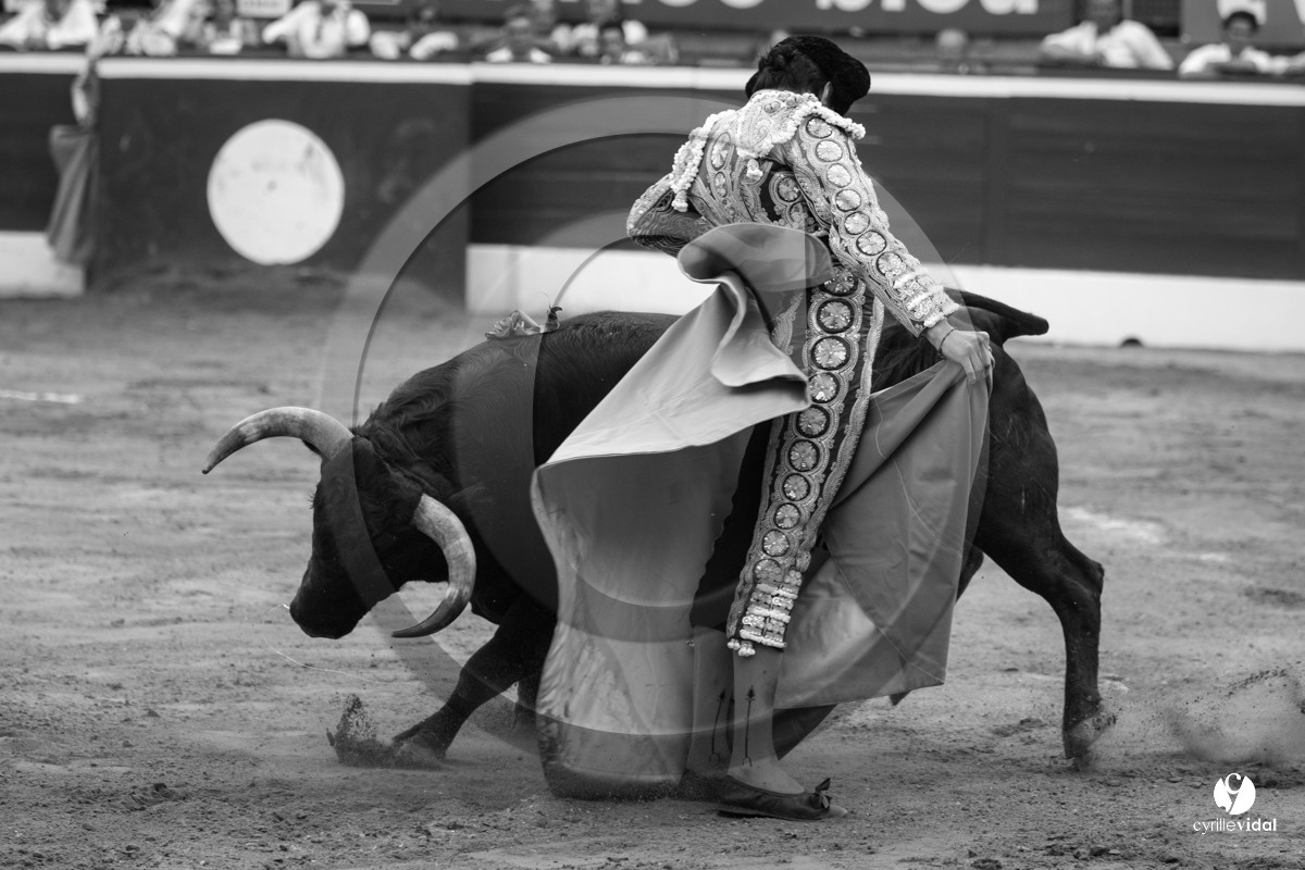 Mont-de-Marsan corrida de Jandilla pour Padilla - Talavante - Roca Rey