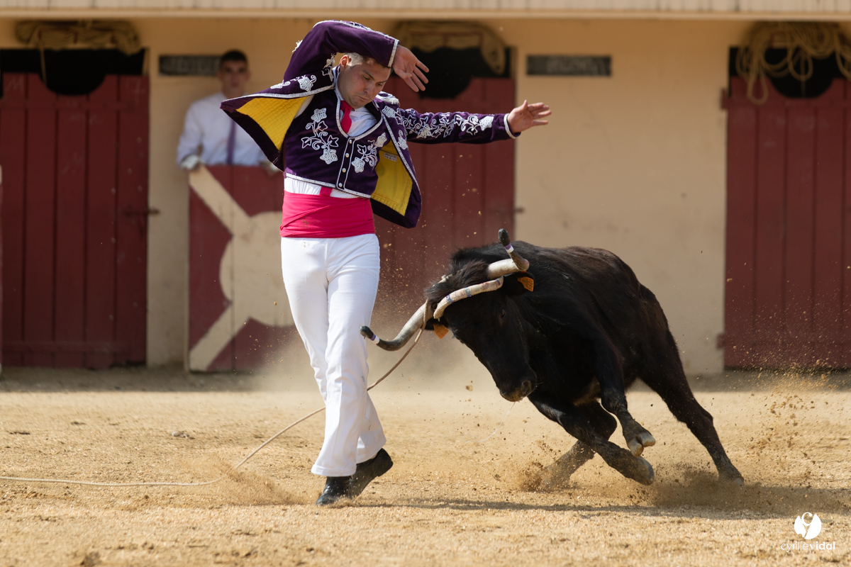 Course landaise Le Houga Ganadéria Dussau Cuadrilla Alexandre Brethes