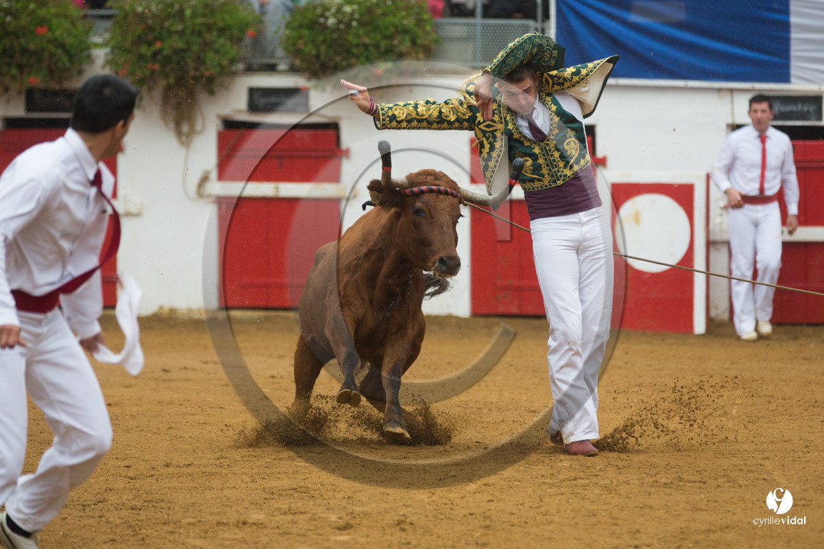 Nogaro Championnatde France de Course Landaise 2017