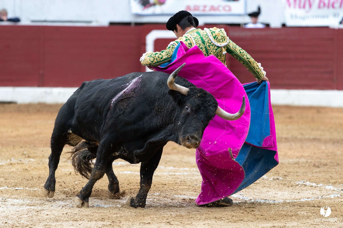 Corrida d'Aire sur l'Adour