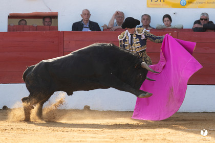 Corrida Aignan