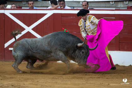 Mont-de-Marsan corrida d'Adolfo Martin