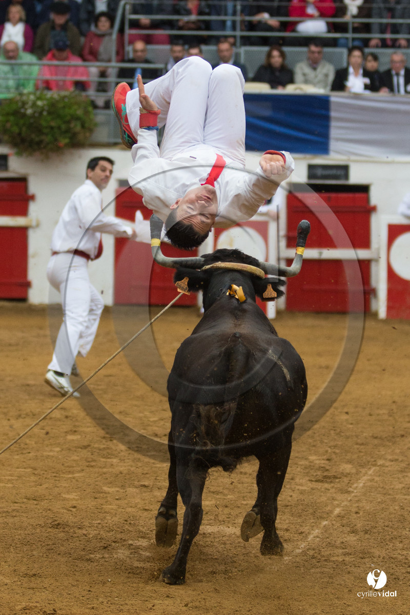 Nogaro Championnatde France de Course Landaise 2017