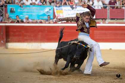 Mont-de-Marsan championnat de France de course landaise 2019