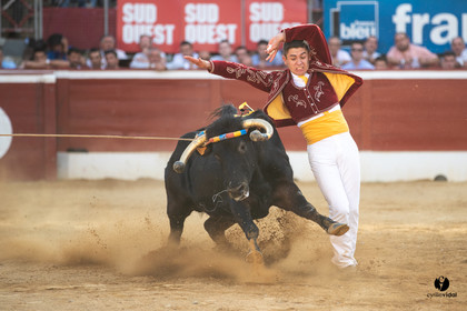 Mont-de-Marsan championnat de France de course landaise 2019