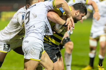 Stade Montois Rugby - Carcassonne