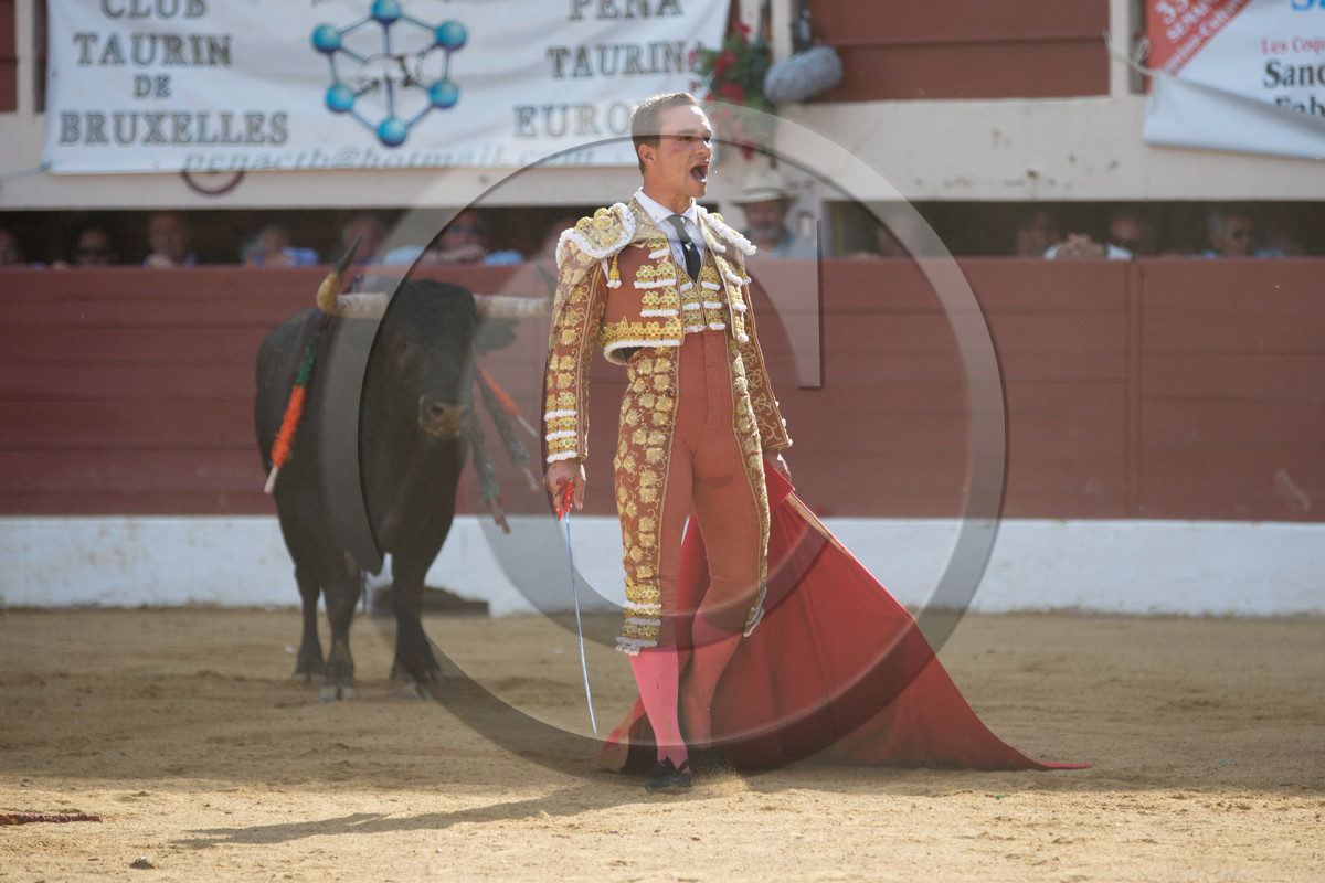 corrida, toro, vic fezensac, alcurrucen, michelito, morenito de aranda