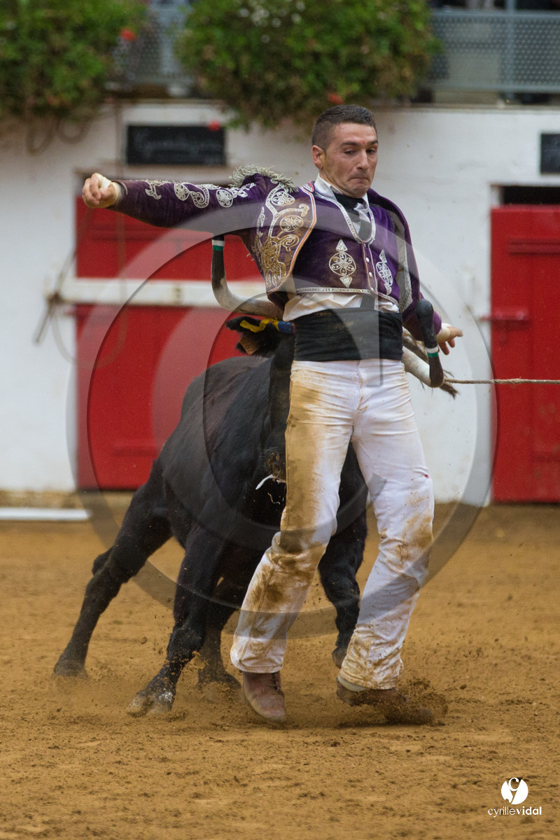 Nogaro Championnatde France de Course Landaise 2017