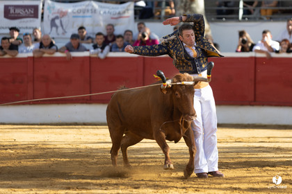 Nogaro Championnat de France de course landaise 2022