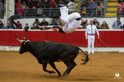 Nogaro Championnatde France de Course Landaise 2017