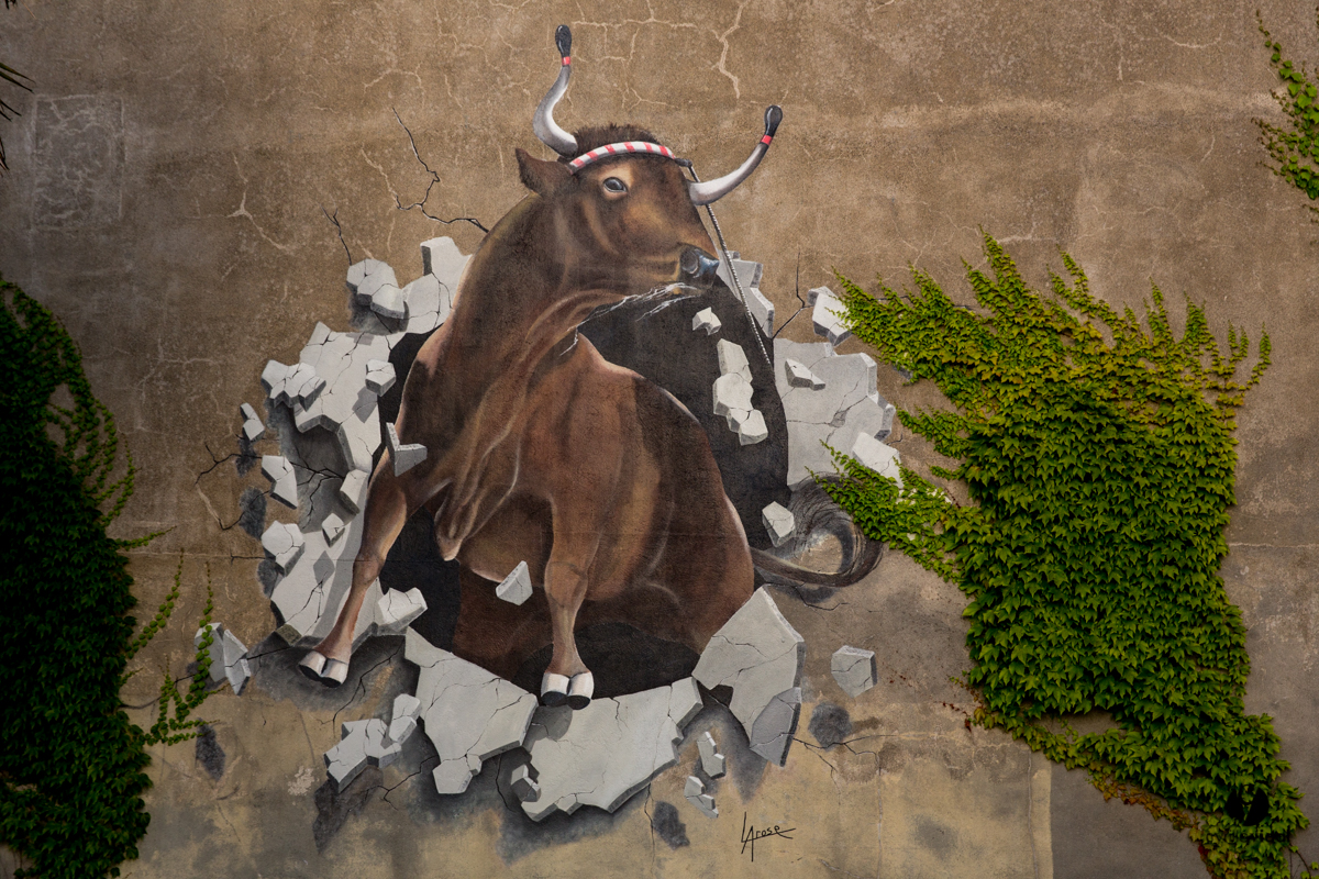 Aire sur l'Adour course landaise génération Aturine