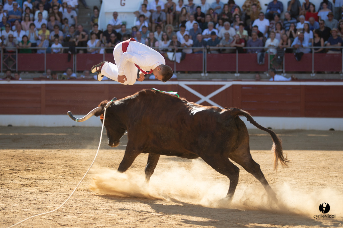Mont-de-Marsan championnat de France de course landaise 2019
