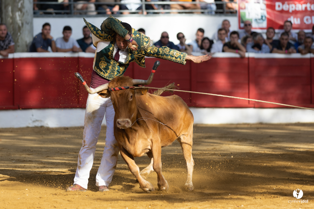 Nogaro Championnat de France de course landaise 2022