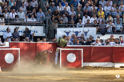 Nogaro Championnat de France de course landaise 2022