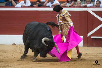 Mont-de-Marsan corrida de Garcigrande pour El Juli et Juan Bautista