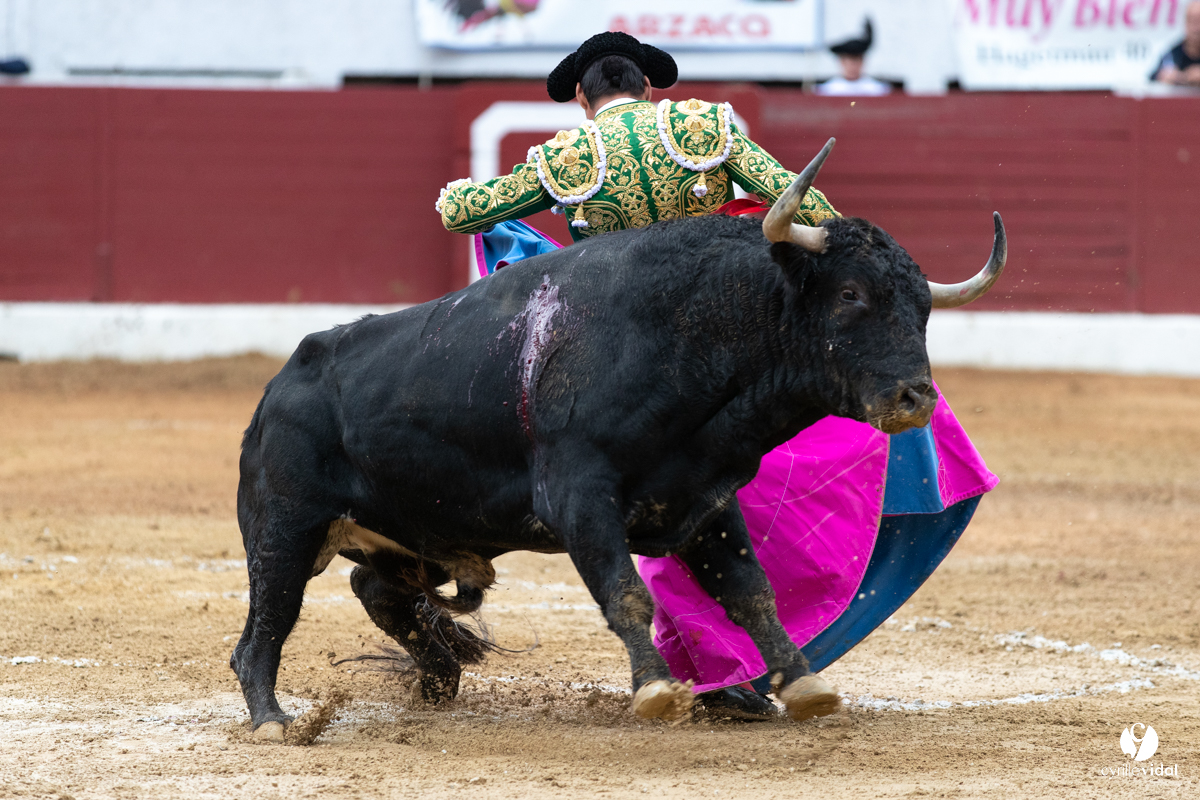 Corrida d'Aire sur l'Adour