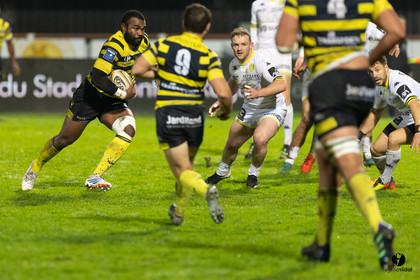 Stade Montois Rugby - Carcassonne