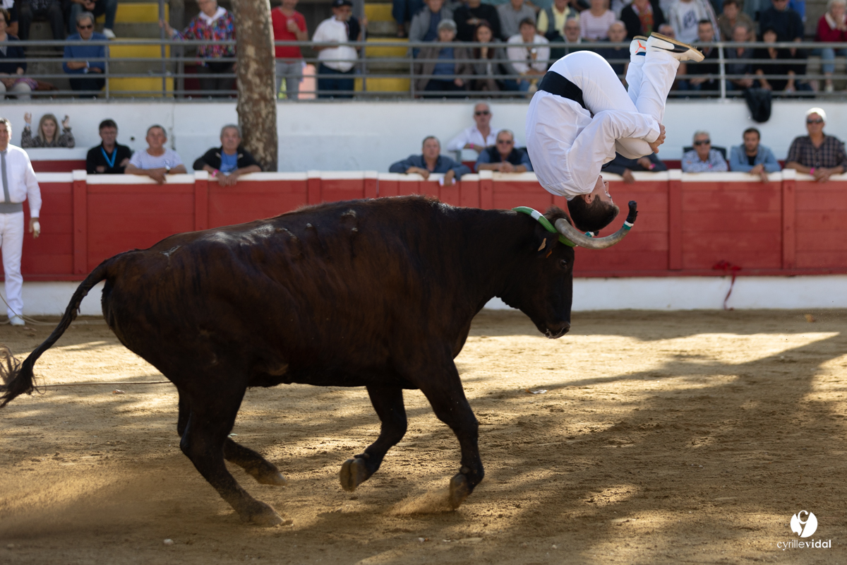 Nogaro Championnat de France de course landaise 2022
