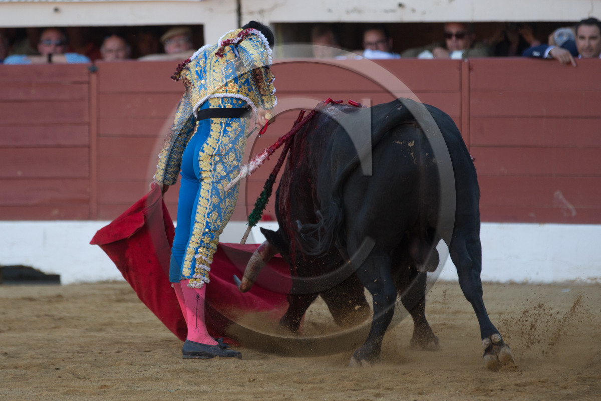 corrida, toro, vic fezensac, alcurrucen, michelito, morenito de aranda