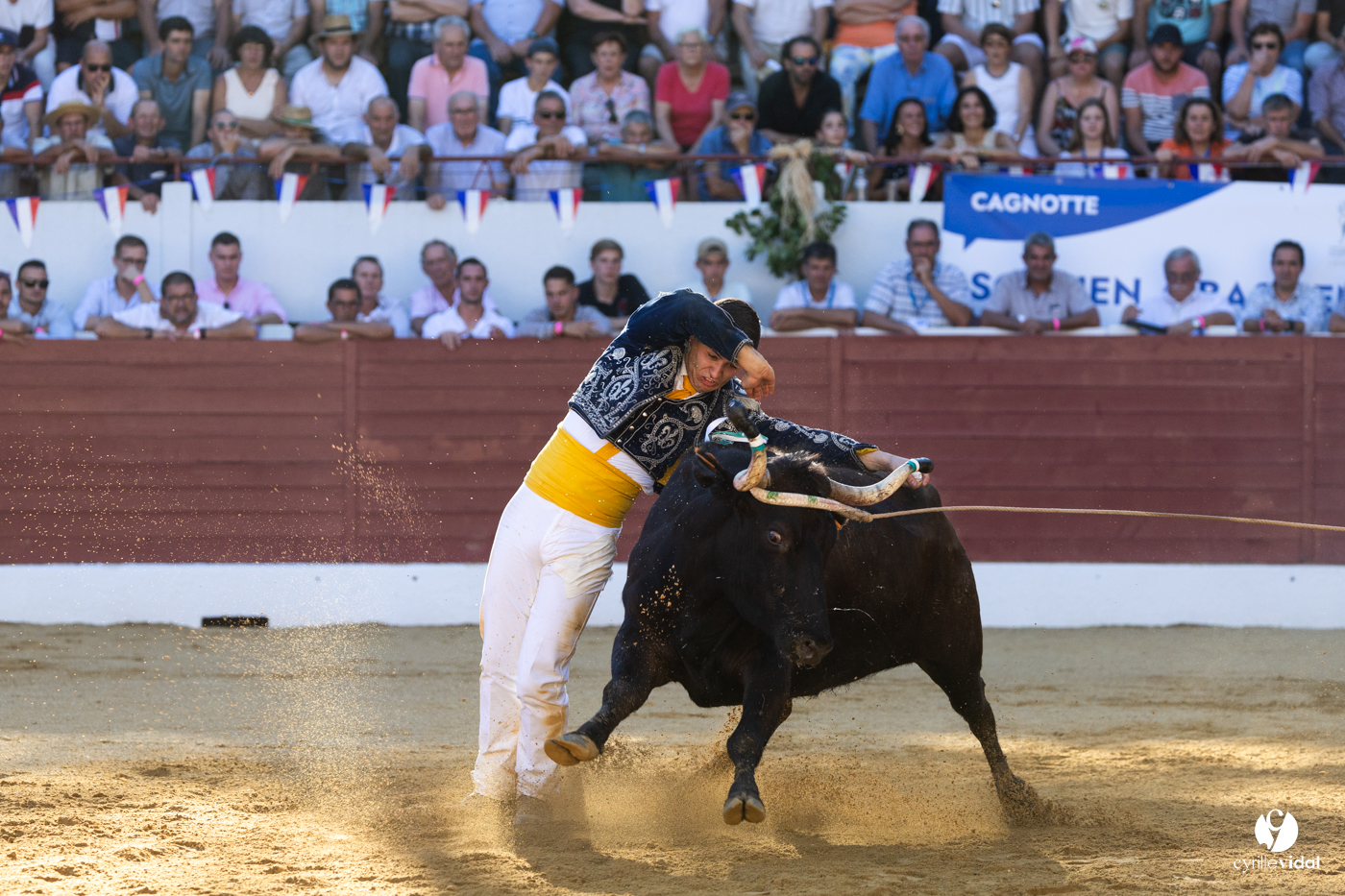 Aire-sur-l'Adour Championnat de France de course landaise 2023