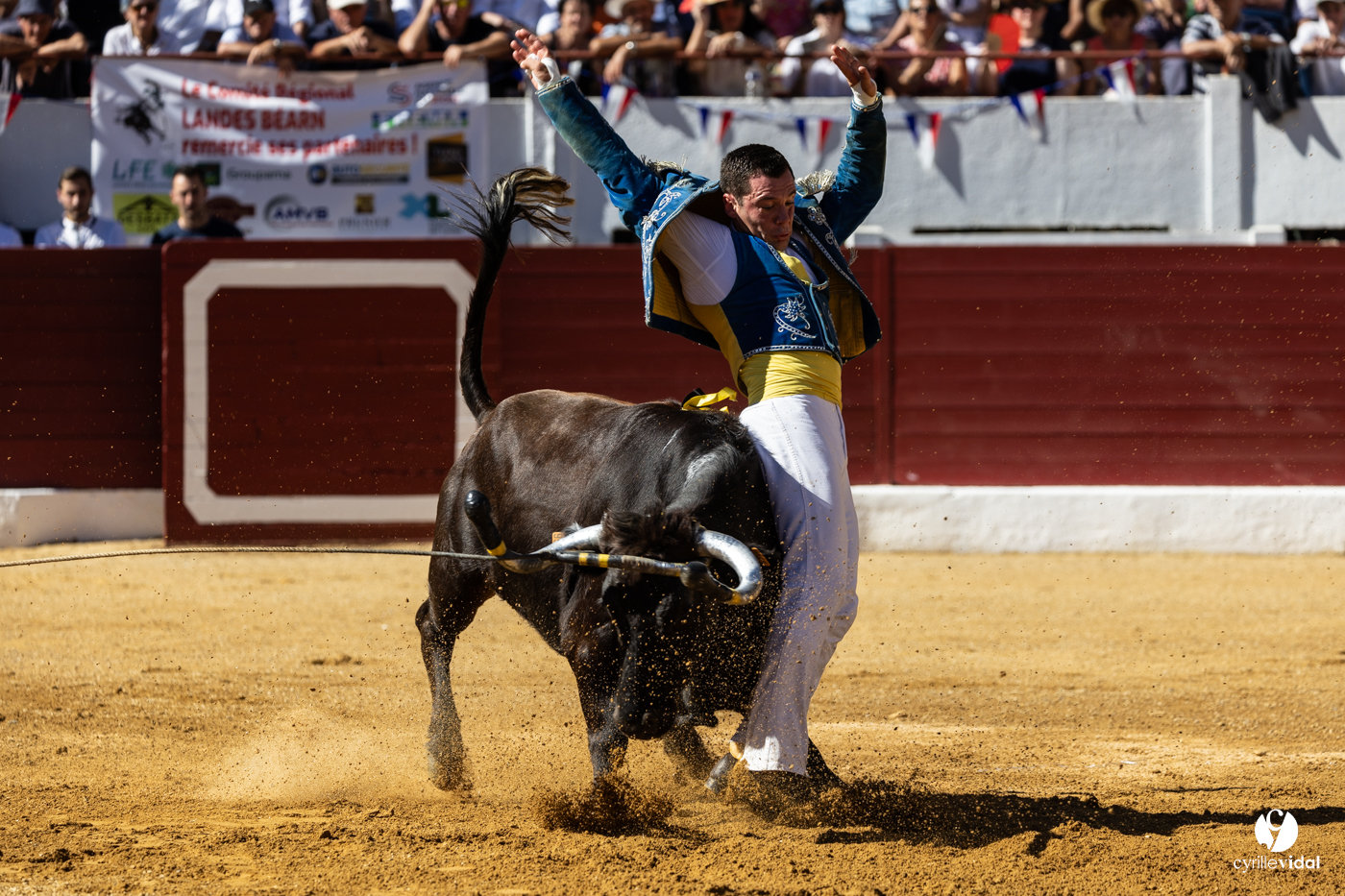 Aire-sur-l'Adour Championnat de France de course landaise 2023
