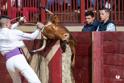 Course landaise Le Houga Ganadéria Dussau Cuadrilla Alexandre Brethes