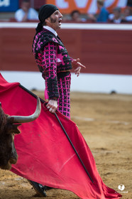 Mont-de-Marsan corrida de Jandilla pour Padilla - Talavante - Roca Rey