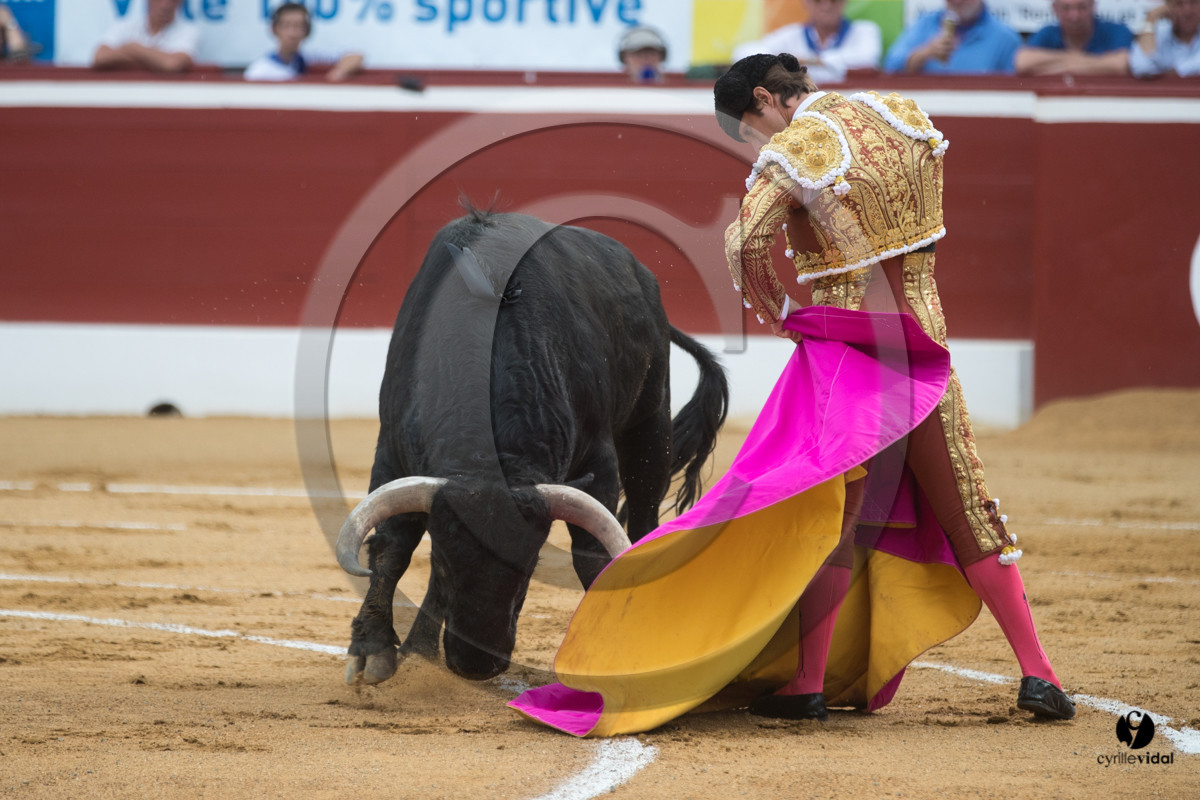 Mont-de-Marsan corrida de Garcigrande pour El Juli et Juan Bautista