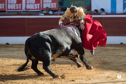 Mont-de-Marsan corrida de Dolores Aguirre pour Octavio Chacon - Pepe Moral - Juan Léal