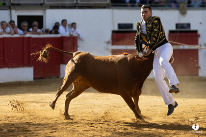 Nogaro Championnat de France de course landaise 2022