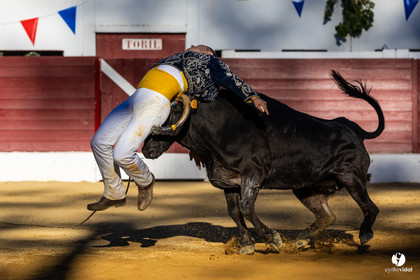 Aire-sur-l'Adour Championnat de France de course landaise 2023