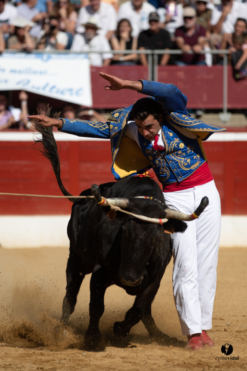 Mont-de-Marsan championnat de France de course landaise 2019