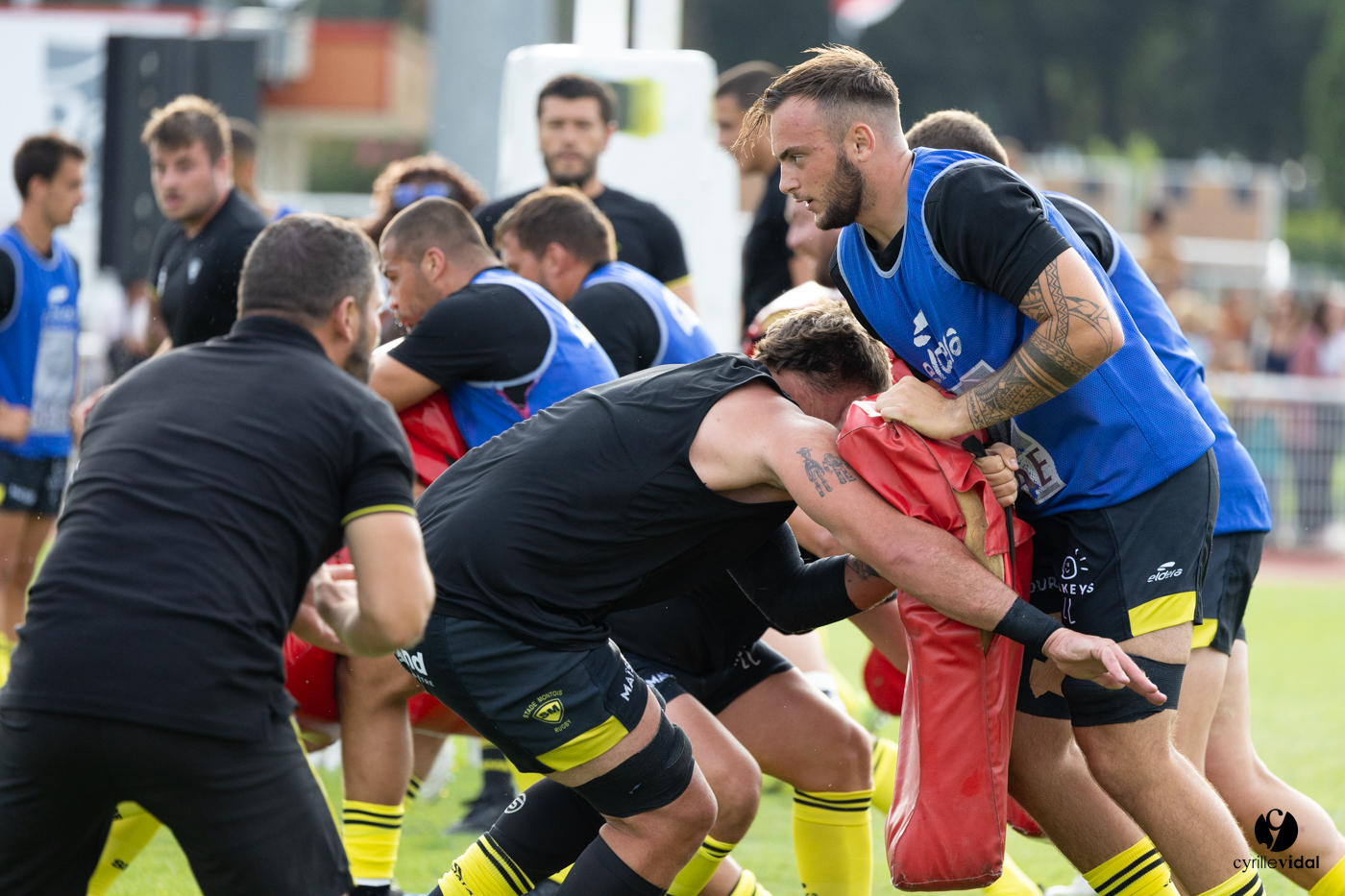 Dax - Stade Montois Rugby