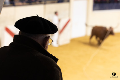 Horsarrieu course landaise du boléro d'Argent
