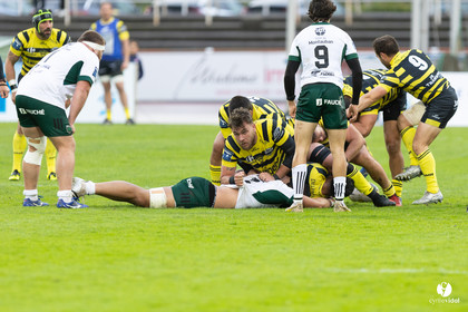 Stade Montois Rugby - Montauban