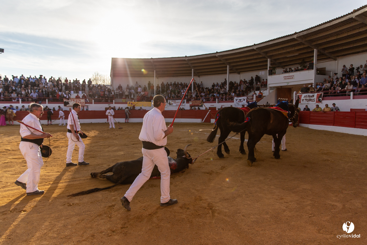 Corrida Aignan