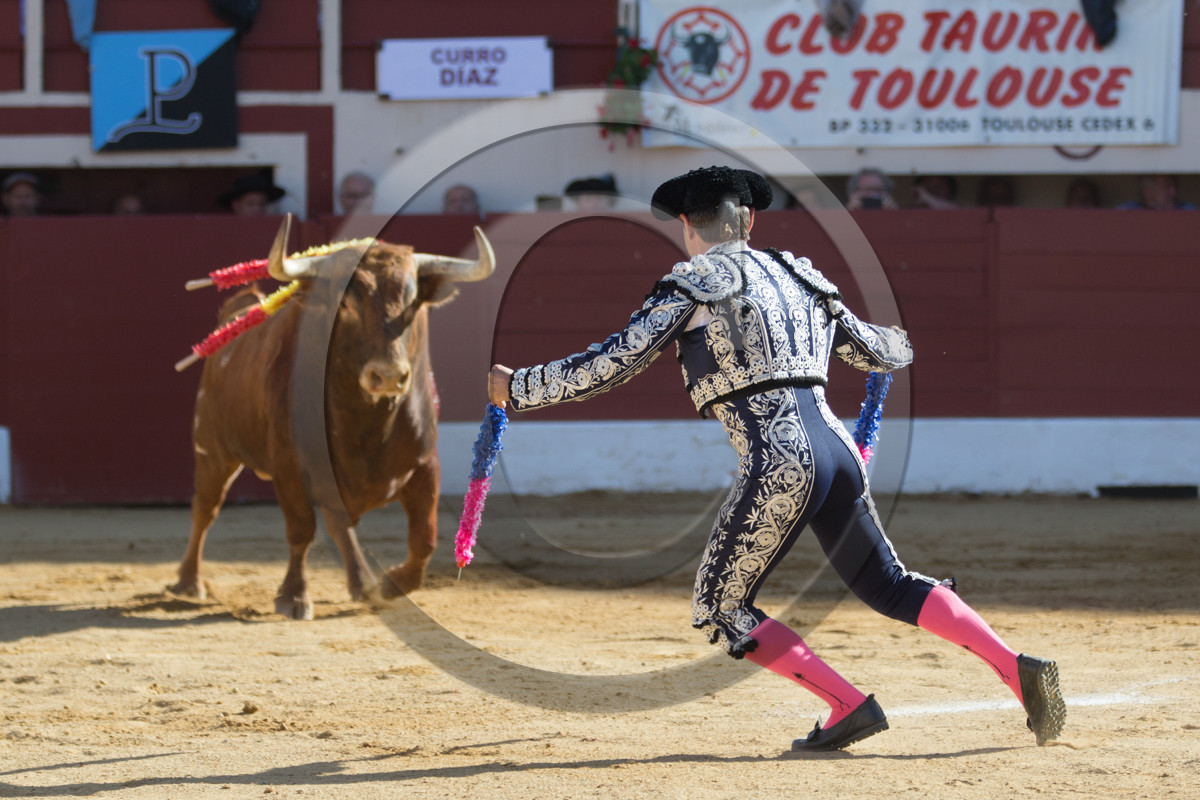corrida, toro, vic fezensac, alcurrucen, michelito, morenito de aranda