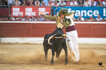 Mont-de-Marsan championnat de France de course landaise 2019