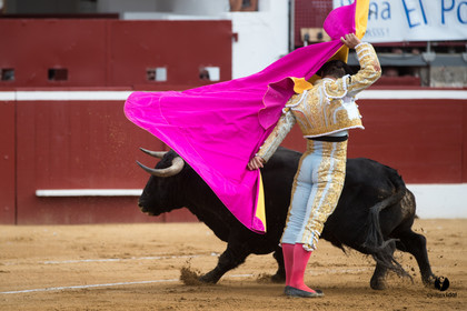 Mont-de-Marsan corrida de Garcigrande pour El Juli et Juan Bautista