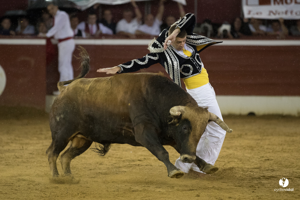 Mont-de-Marsan festival Art et Courage