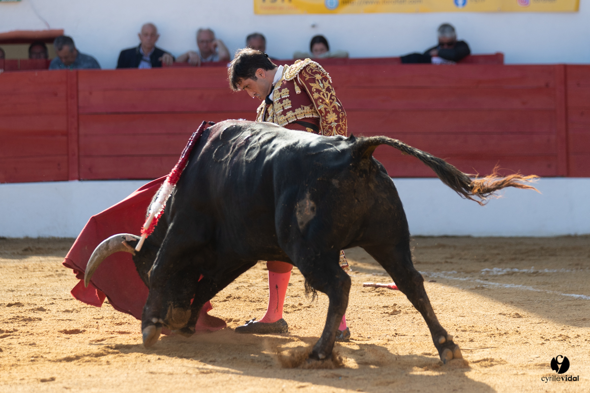 Corrida Aignan