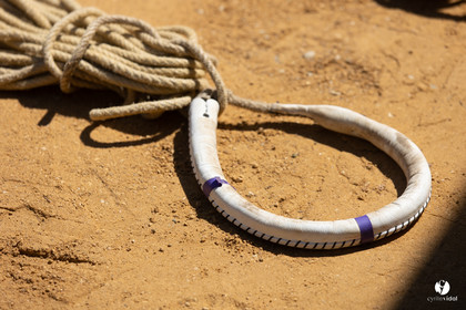 Course landaise à Panjas