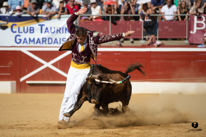 Mont-de-Marsan championnat de France de course landaise 2019