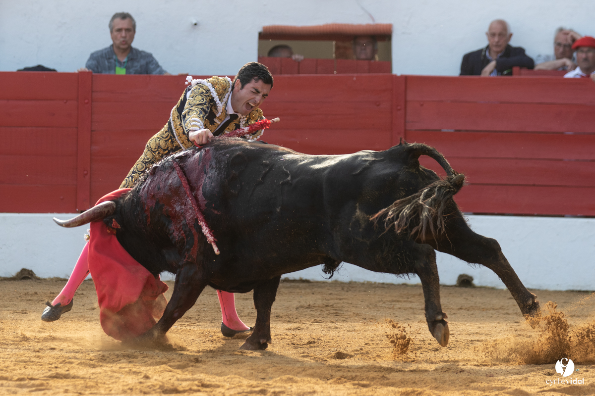 Corrida Aignan
