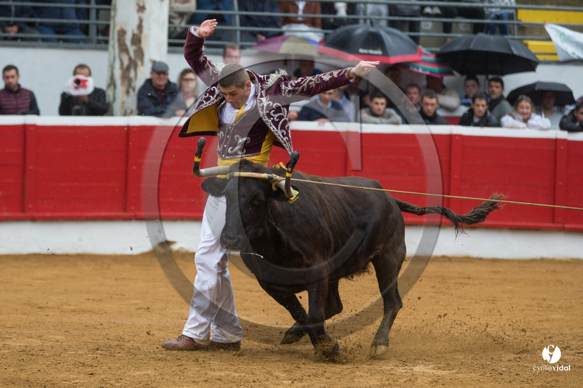 Nogaro Championnatde France de Course Landaise 2017